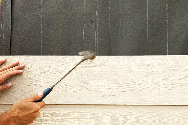 Affordable Siding Repair and Maintenance Services in Douglas, AZ