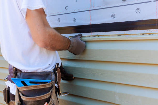 Best Historical Building Siding Restoration  in Douglas, AZ